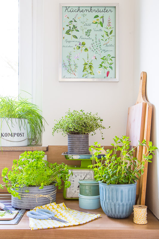 Dekorieren mit Küchenkräuter