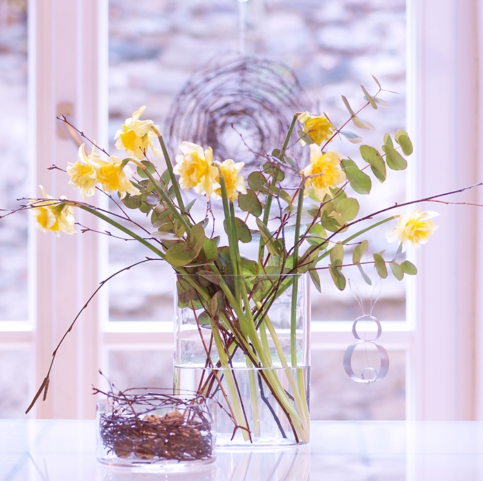 Narzissen DSC09187 Detail