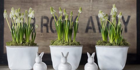 moderne Osterdeko mit Perlhyazinthen und Porzellanhasen von DEPOT