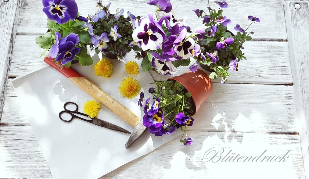 bild-mit-bluetendruck 1k-min