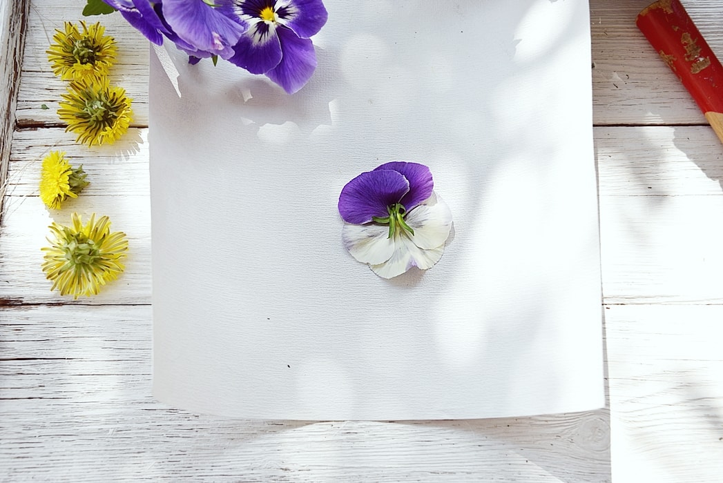 bild-mit-bluetendruck 2k-min