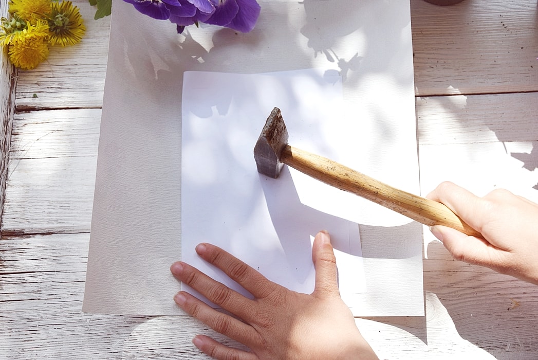 bild-mit-bluetendruck 3k-min