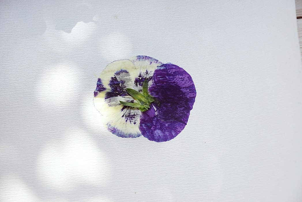 bild-mit-bluetendruck 4k-min