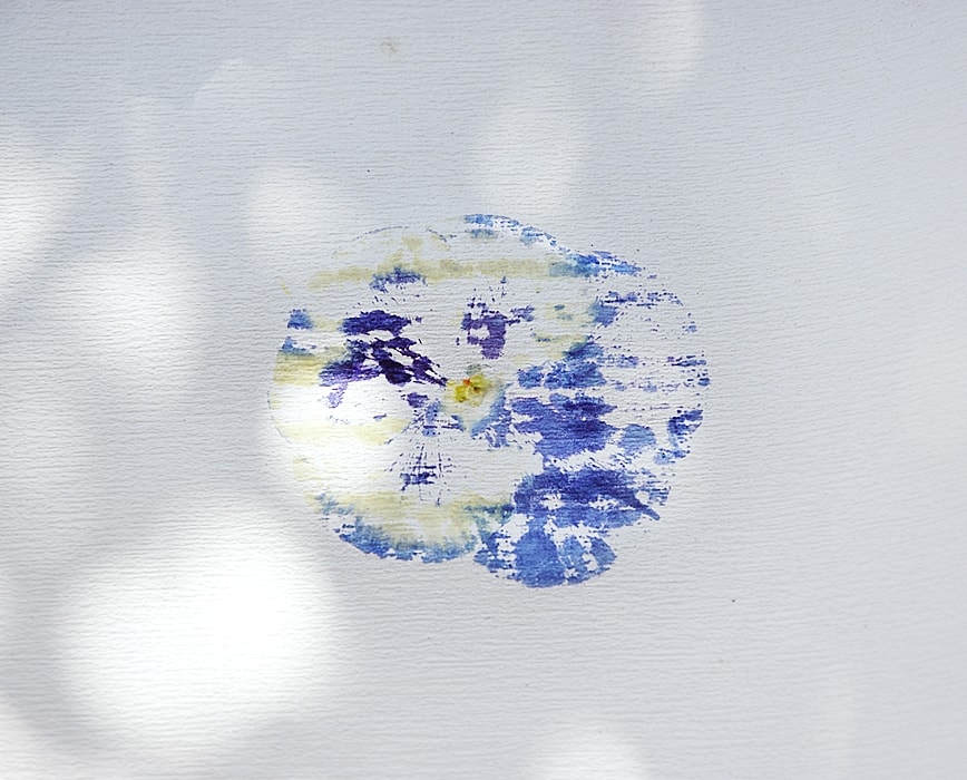 bild-mit-bluetendruck 5k-min