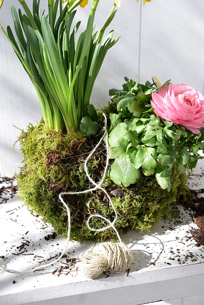 diy-haengender-garten 12k-min