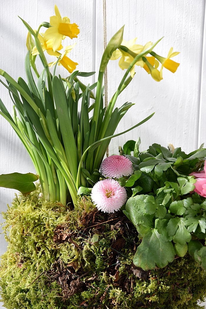 diy-haengender-garten 15k-min