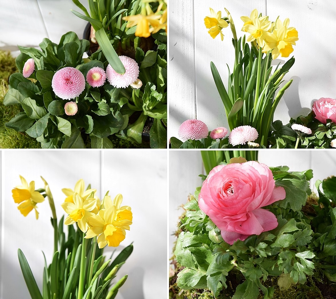 diy-haengender-garten 7k-min