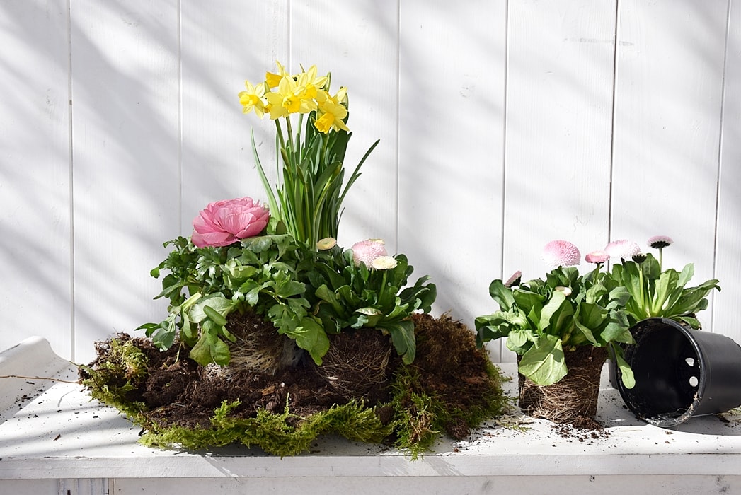 diy-haengender-garten 9k-min