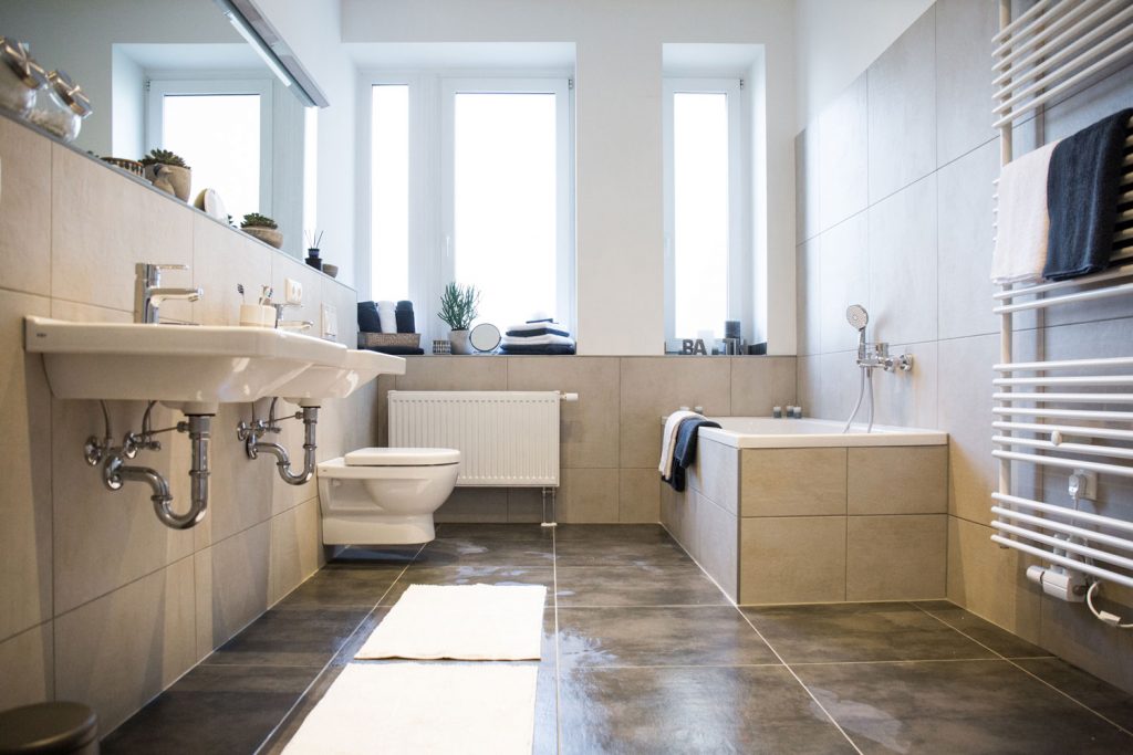 The_Haines_110_bearb