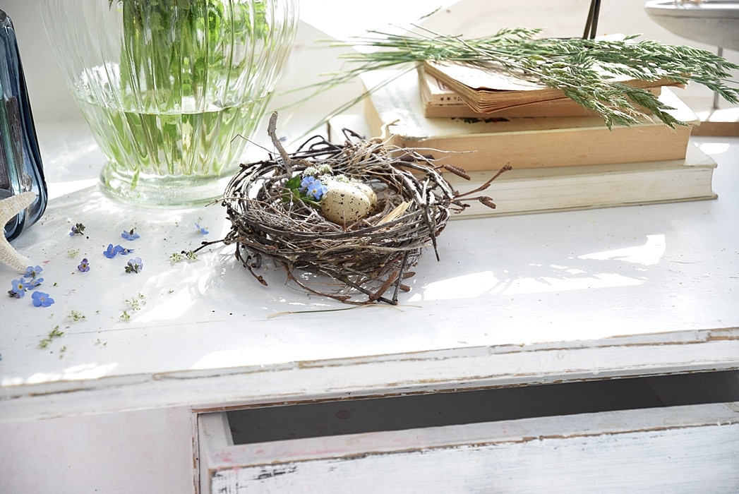 tipps-fuer-ein-gelungenes-deko-stillleben 5k-min