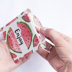 DEPOT Ein Sommer voller Melonen (8 von 14)