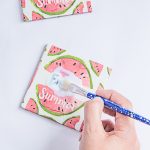 DEPOT Ein Sommer voller Melonen (9 von 14)