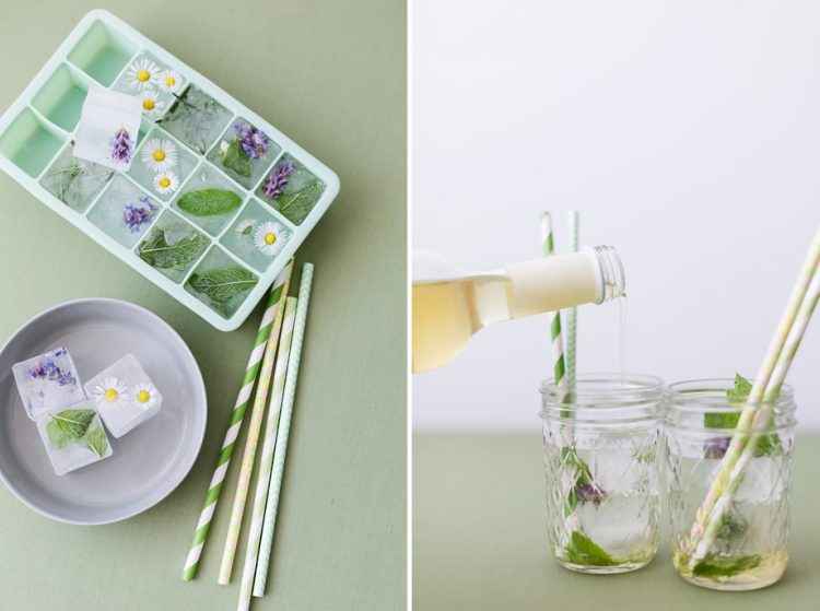 DIY-Blueten-Eiswuerfel-Schoen-bei-dir©wienerwohnsinn_0003