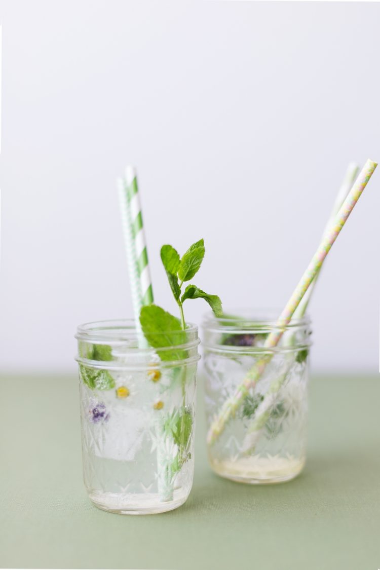 DIY Blüten-Eiswürfel & Rezepte für Sommercocktails DIY-Blueten-Eiswuerfel-Schoen-bei-dir©wienerwohnsinn_0004