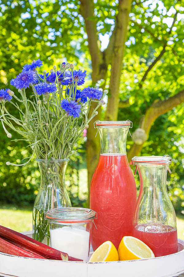Rhabarbersirup selber machen
