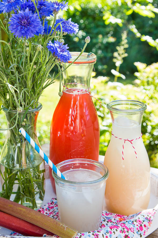 Rhabarbersirup selber machen