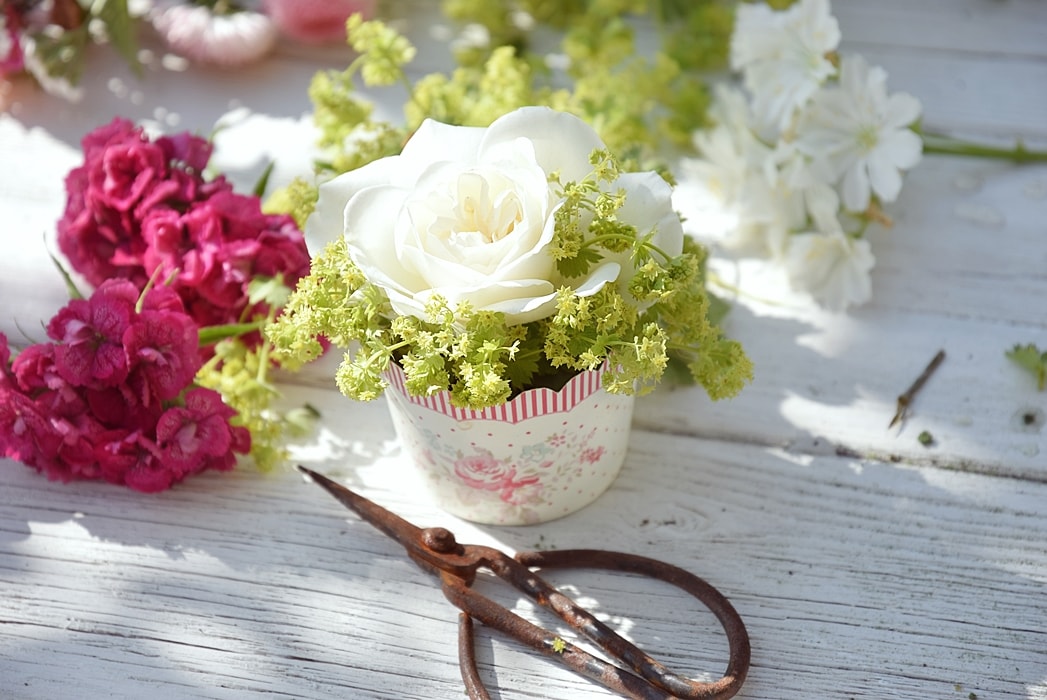 diy-blueten-cupcakes 4k-min