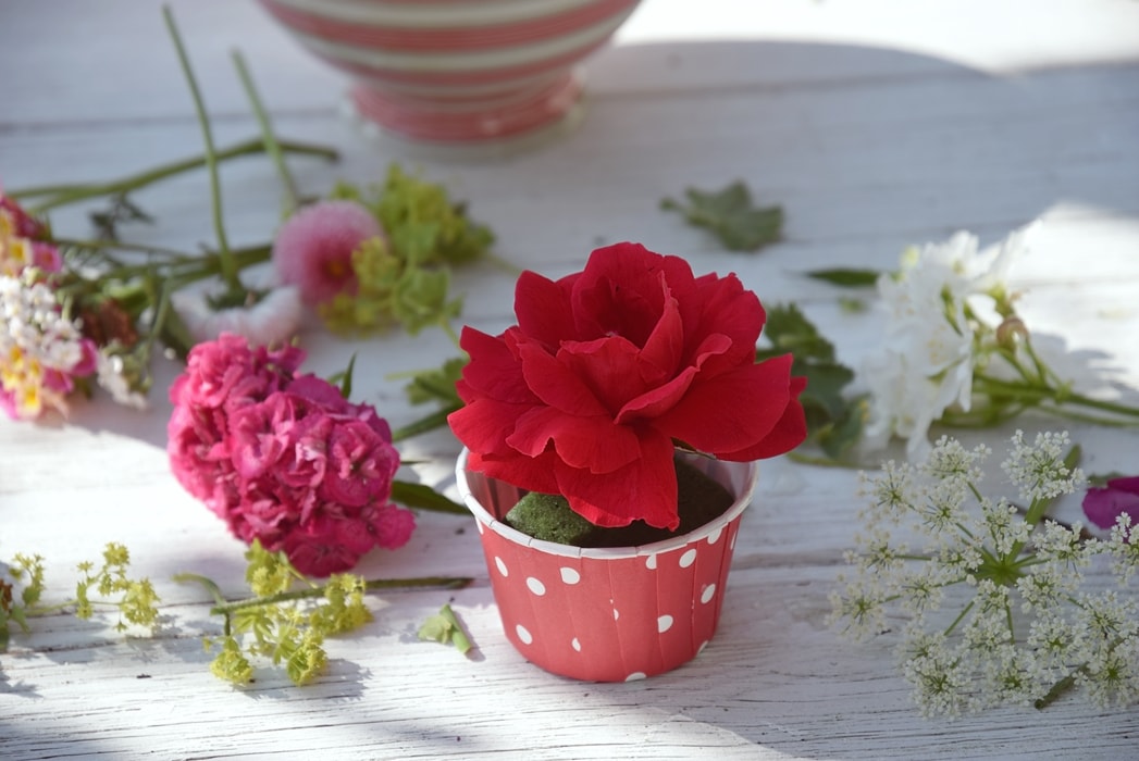 diy-blueten-cupcakes 5k-min