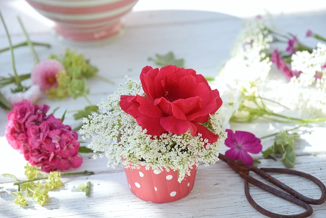 diy-blueten-cupcakes 6k-min