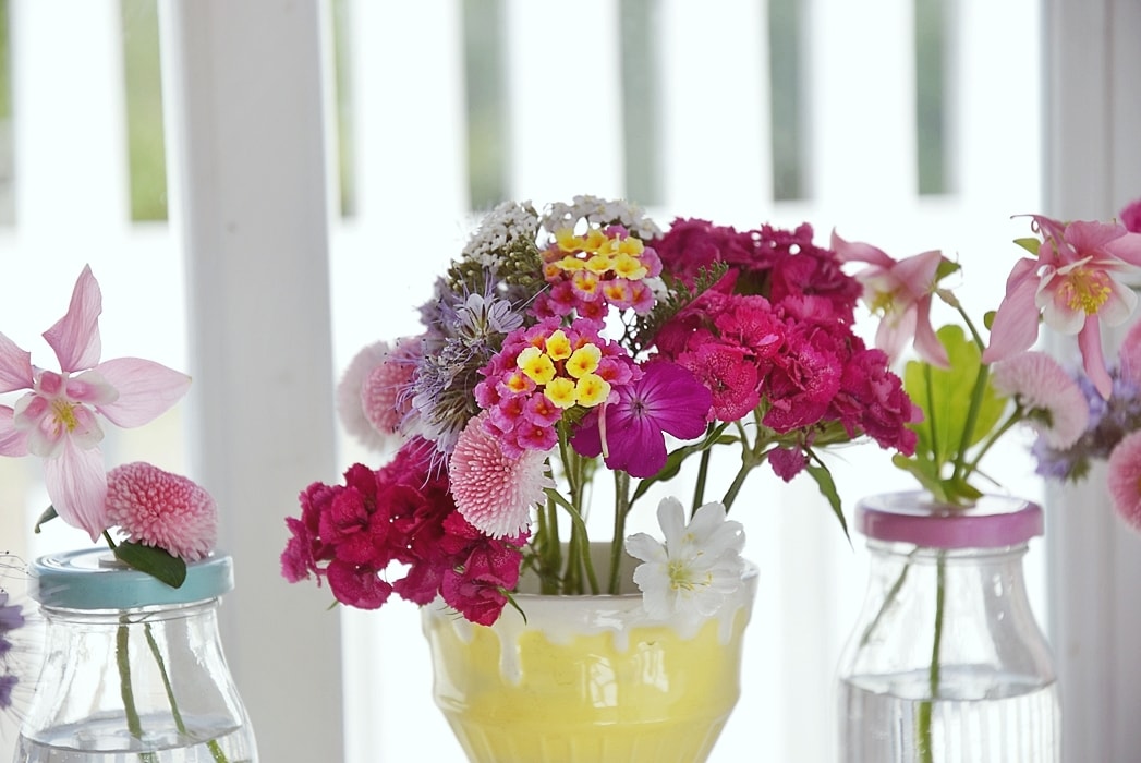 farbenfrohe-sommerliche-fensterdeko 2k-min (1)