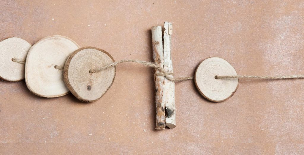 Birkenstöcke zwischen Astscheiben