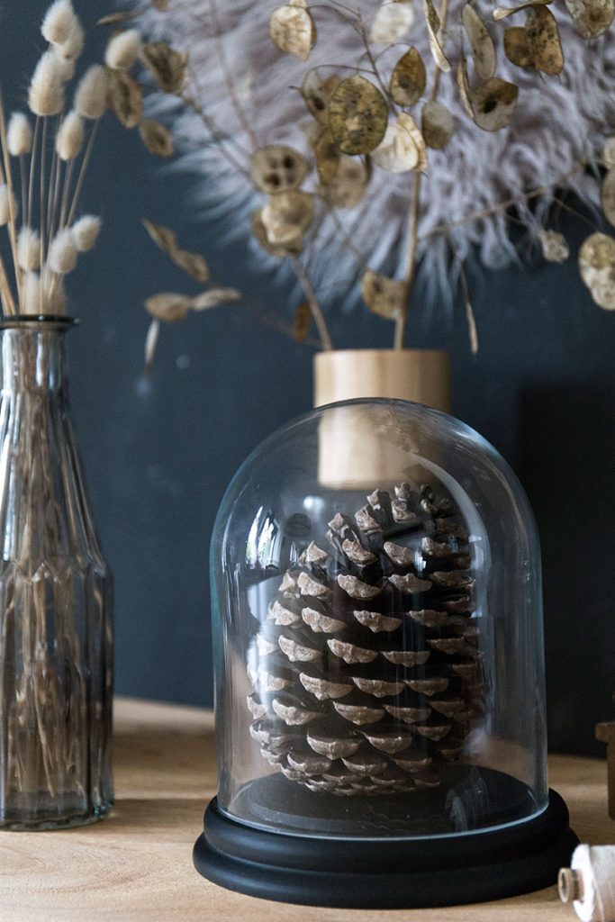 Herbstdekoration-mit-Zapfen