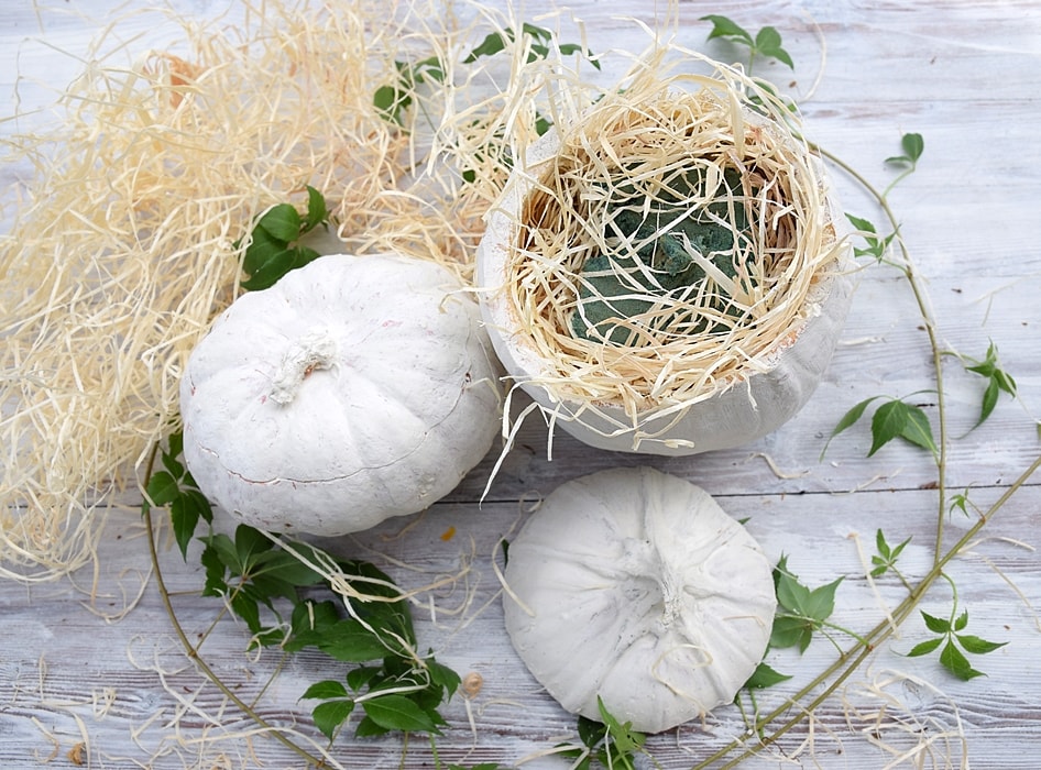 stimmungsvolle-herbstdeko-mit-kuerbissen 4k-min