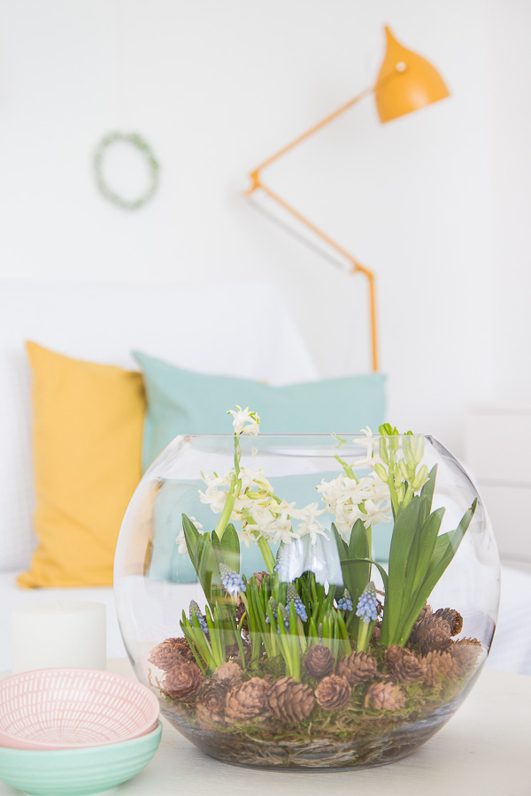 Frühlingserwachen - mit Blumenzwiebeln dekorieren