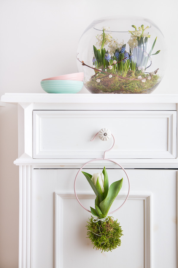 Frühlingserwachen - mit Blumenzwiebeln dekorieren