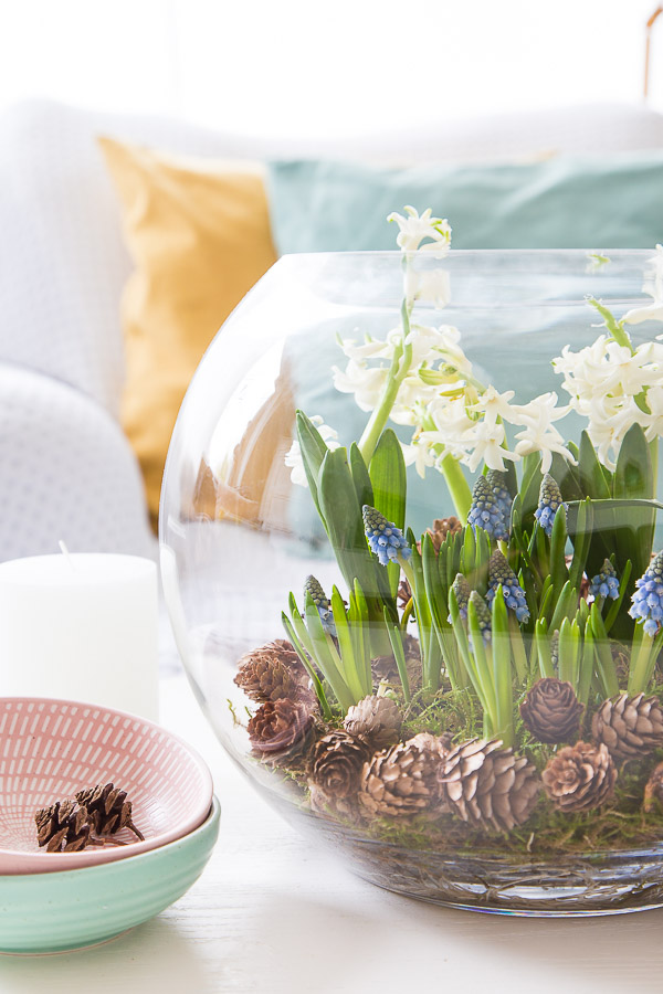 Frühlingserwachen - mit Blumenzwiebeln dekorieren