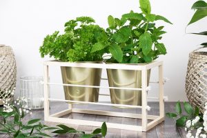 DIY Kräutergarten