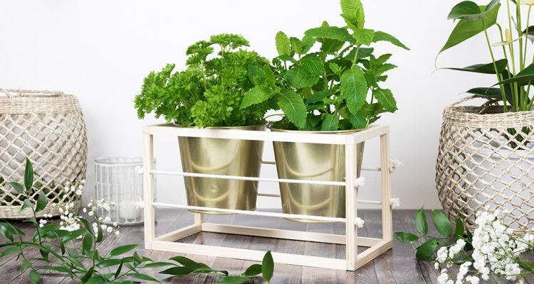 DIY Kräutergarten
