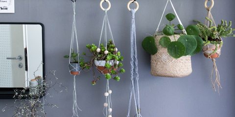 Makramee Blumenampel