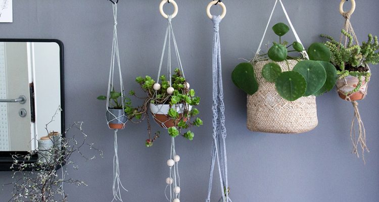 Makramee Blumenampel