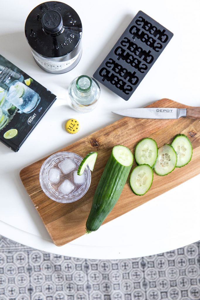 gin-mit-tonicwater-und-gurke