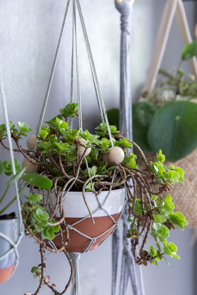 Makramee Blumenampel