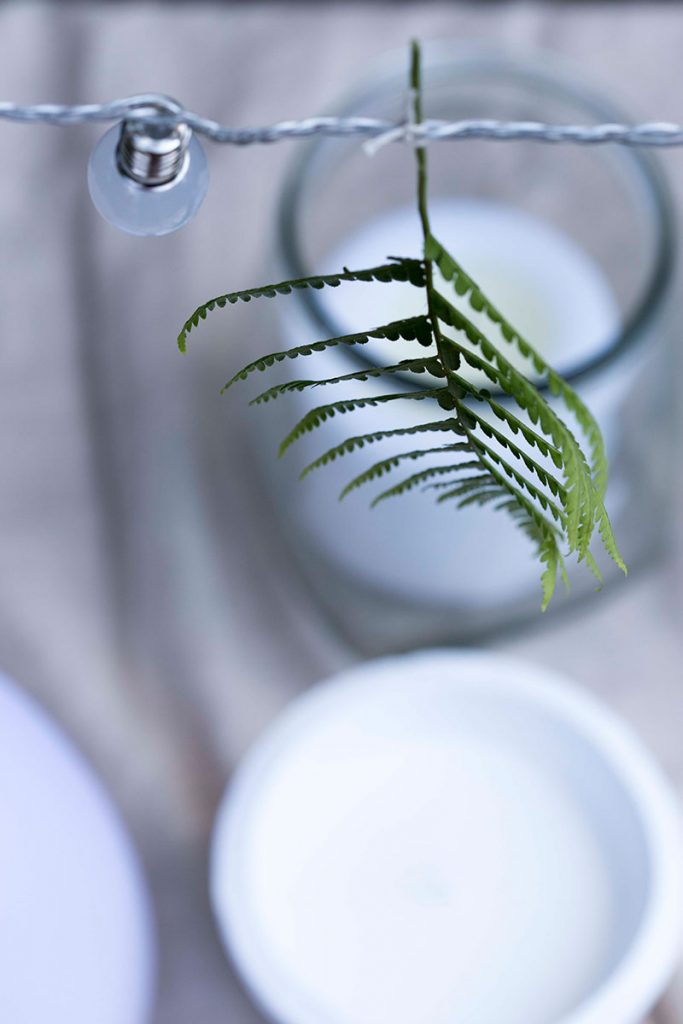 dekorieren-mit-farn