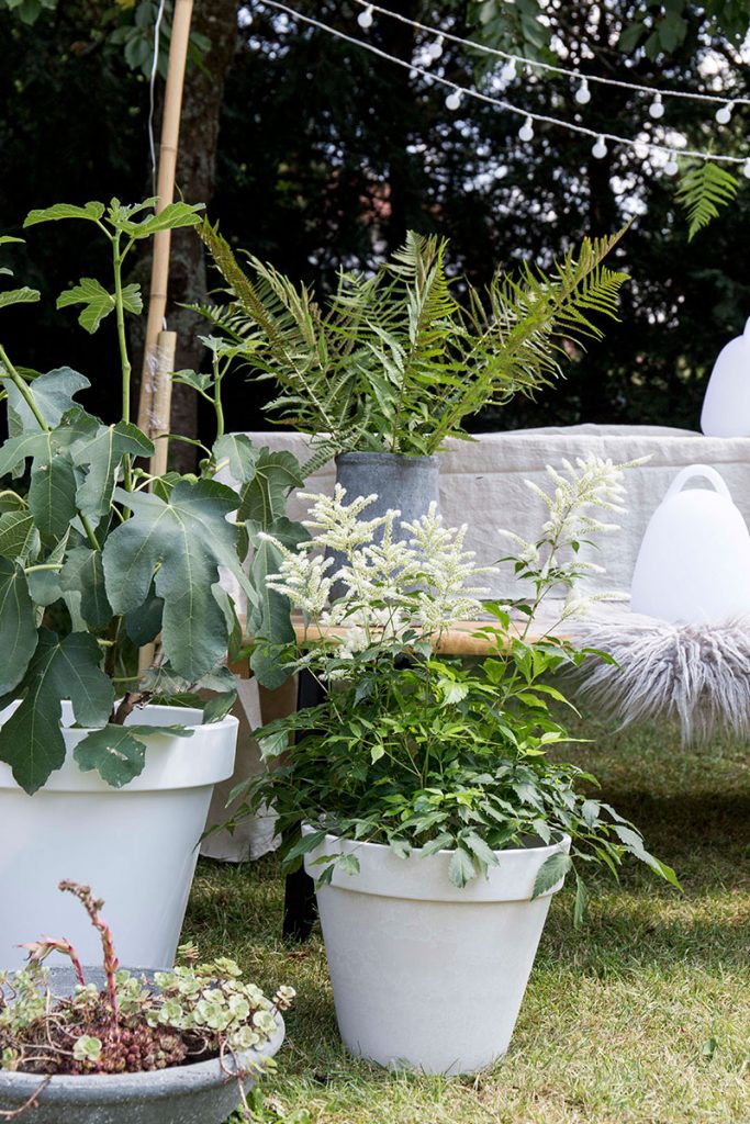 pflanzkuebel-als-dekoration-im-garten