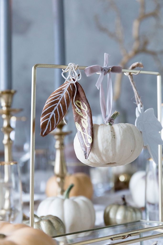 babyboo-kuerbisse-und-getrocknete-blaetter-als-herbstdeko