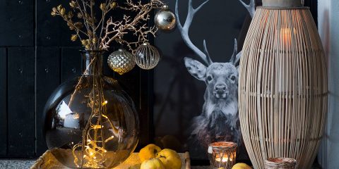 geschmückter Winterast läutet im Hauseingang die Weihnachtszeit ein