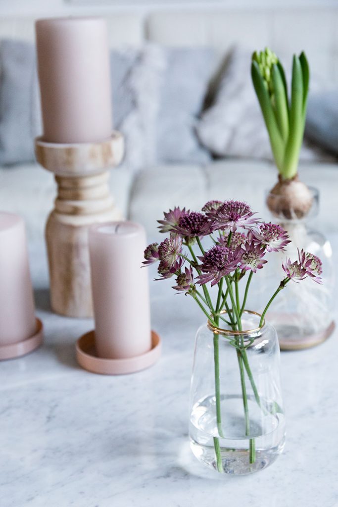 sterndolden-in-zarter-glasvase-mit-goldrand