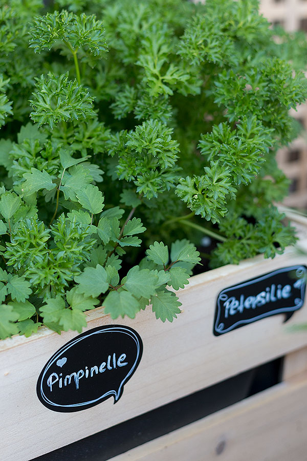 Alternativ können die Aufkleber auch direkt auf die Holzkiste geklebt werden