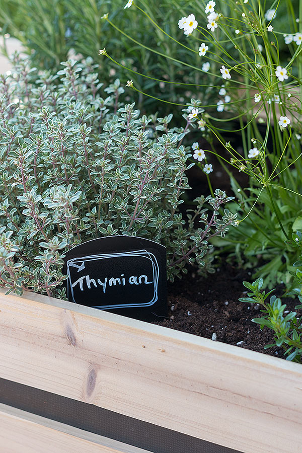 Aufkleber auf Kunststoffschilder kleben und zu den jeweiligen Kräutern in die Erde stecken