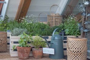 Kräutergarten in Holzkisten Anleitung