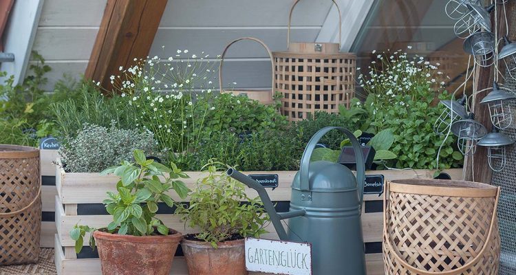 Kräutergarten in Holzkisten Anleitung