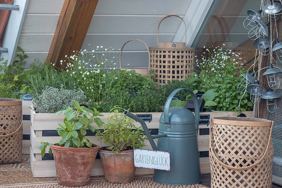 Kräutergarten in Holzkisten Anleitung