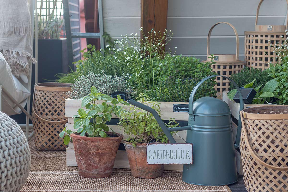 Kräutergarten in Holzkisten pflanzen auf dem Balkon