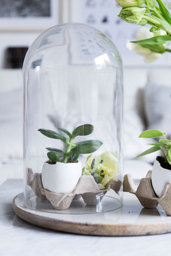 diy-mini-gewaechshaus