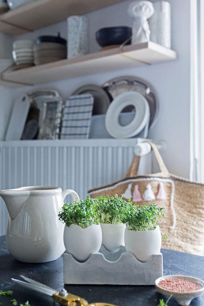DIY Kressegarten in der Küche