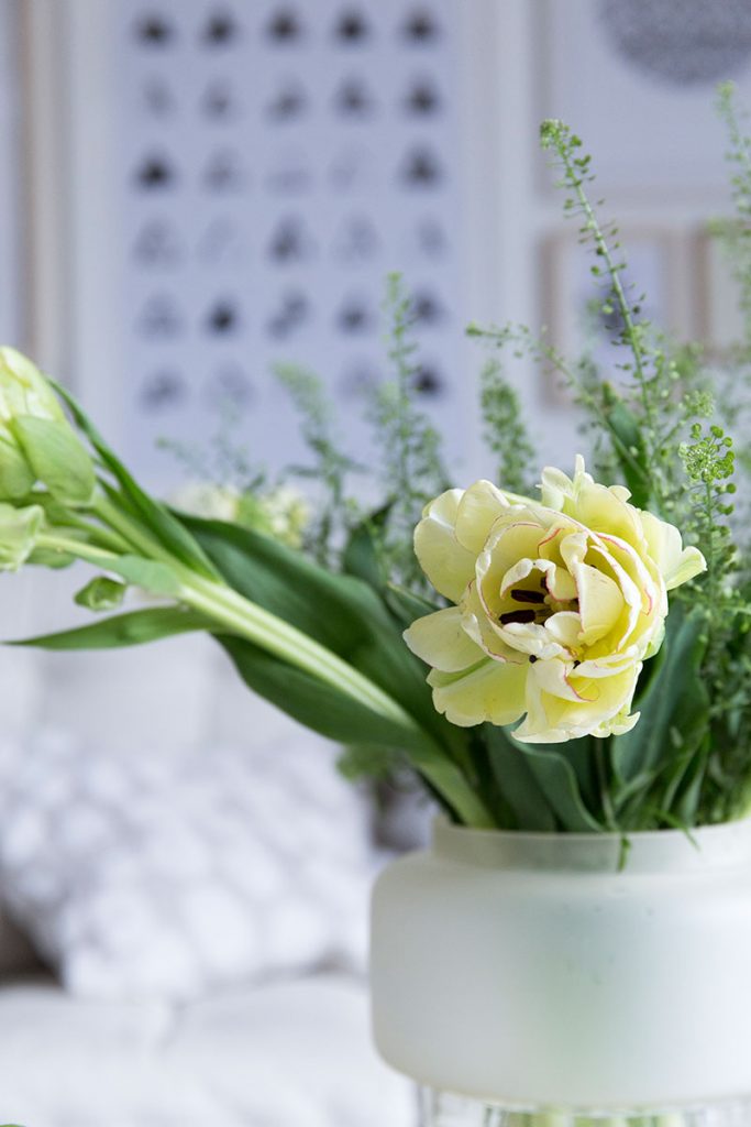 wilde-tulpen-als-fruehlingsdeko